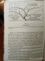 Лот: 19850206. Фото: 4. Виноград обрезка и уход