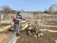Лот: 20234421. Фото: 4. Обработка участка от насекомых-вредителей