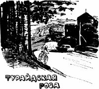 Лот: 17307976. Фото: 6. Нагишкин Дмитрий - Город Золотого...