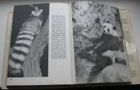 Лот: 18993873. Фото: 7. Станек В.Я. Иллюстрированная энциклопедия...