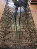 Лот: 17554470. Фото: 5. Катиска финская. Суперуловистая...