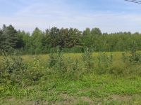 Лот: 6269008. Фото: 4. земельный участок Старцево 15... Красноярск