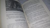 Лот: 9921357. Фото: 5. Oz. Ненарокомов А. В. Лесное хозяйство...