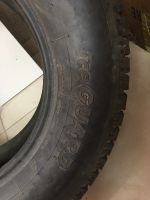 Лот: 22832100. Фото: 2. Продам шину Yokohama Ice Guard... Шины, Диски