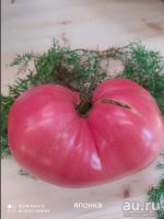 Лот: 18363870. Фото: 3. Семена сортовых томатов. Для дачи, дома, огорода, бани, парка
