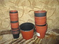 Лот: 9996253. Фото: 2. Горшки 4. Комнатные растения и уход