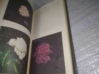 Лот: 25371539. Фото: 7. вб/oz(4092352)Шишкин О.К. Цветы...