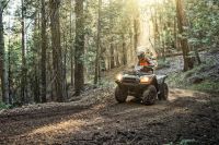 Лот: 25659008. Фото: 4. Квадроцикл KAWASAKI Brute Force... Красноярск