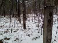Лот: 12631047. Фото: 3. Бетонные столбы ограждения. Строительство и ремонт