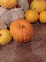 Лот: 12652367. Фото: 2. Тыквы разные. Продукты