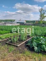 Лот: 25289611. Фото: 15. 3-комн. дом , Уяр Уяр, 12. продажа