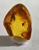 Лот: 25335699. Фото: 5. Янтарь с инклюзом