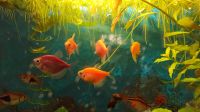 Лот: 21976156. Фото: 5. Тернеция GloFish 5 штук