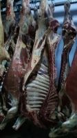 Лот: 20306281. Фото: 2. Быки заморозка промзабой 18000... Продукты