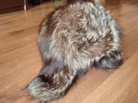 Лот: 3252233. Фото: 2. Шапка-ушанка из чернобурой лисица... Женская одежда