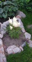 Лот: 25296776. Фото: 10. 5-комн. и более дом , посёлок...
