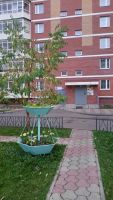 Лот: 6183420. Фото: 2. Сдам в аренду 1 ком. на Молокова. Аренда