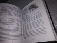 Лот: 18622361. Фото: 11. Шаповалова О. Африка. Серия...