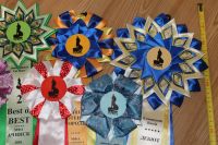 Лот: 3222034. Фото: 4. Розетки с выставок. Красноярск