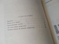 Лот: 17468666. Фото: 3. Лепешинская О.Б. Клетка и ее происхождение... Литература, книги