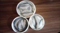 Лот: 10596560. Фото: 2. Тугун. Продукты