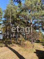 Лот: 25294349. Фото: 15. 3-комн. дом , садоводческое некоммерческое...