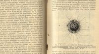Лот: 19932315. Фото: 11. Тезинг К. Размножение и наследственность...