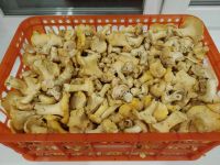 Лот: 16275646. Фото: 2. Лисички ящик 7 кг ( не литров... Продукты