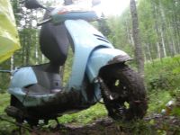 Лот: 3234565. Фото: 4. honda lead крутой мопед. Красноярск