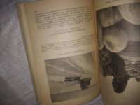 Лот: 25023169. Фото: 4. оз...(4092319) Мир растений. Хрестоматия... Красноярск