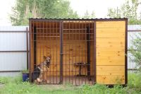 Лот: 5859129. Фото: 3. Вольер для собак. Растения и животные