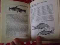 Лот: 19660089. Фото: 4. Книга "Полная энциклопедия аквариумиста... Красноярск