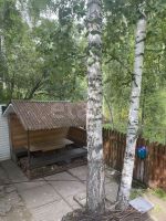 Лот: 25709361. Фото: 12. 5-комн. и более дом , садоводческое...