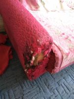 Лот: 11355490. Фото: 2. Диван на дачу. Мягкая мебель