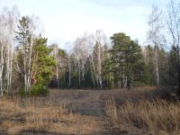 Лот: 4922265. Фото: 4. Продам участок ст. Минино. Красноярск