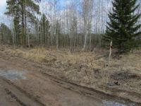 Лот: 3952729. Фото: 3. Участок в Емельяновском районе. Недвижимость