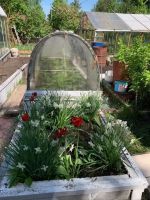 Лот: 25527465. Фото: 10. 2-комн. дача , садоводческое некоммерческое...