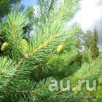 Лот: 14277154. Фото: 8. 205/70/15 Amtel Planеt 2P