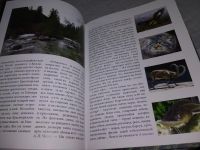 Лот: 18303831. Фото: 12. oz меш. (29..06) П. С. Федирко...