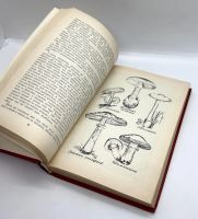 Лот: 13360267. Фото: 3. 📕 Владимир Солоухин. Созерцание... Красноярск