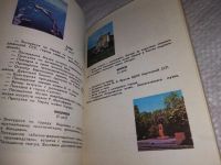 Лот: 19347119. Фото: 11. Рогатин Б., Квартальнов В., Ухов...