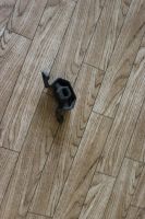 Лот: 7698504. Фото: 3. Подушка глушителя, которая крепится... Авто, мото, водный транспорт