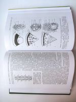 Лот: 16169286. Фото: 3. Л. И. Лотова "Ботаника: Морфология... Литература, книги