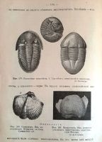 Лот: 18286859. Фото: 13. Профессор А.В. Ничаев. Минералогия...