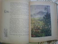 Лот: 12302493. Фото: 7. По следам Робинзона.Верзилин Н