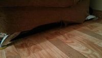 Лот: 10613886. Фото: 3. Диван. Мебель