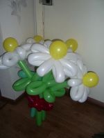 Лот: 3428114. Фото: 3. Букет ромашек (белые) из воздушных... Красноярск