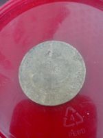 Лот: 7773890. Фото: 3. 5 копеек 1930 год СССР 5 монет. Коллекционирование, моделизм