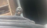 Лот: 9539391. Фото: 4. Кабель гибкий силовой кг 3х4... Красноярск