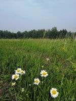 Лот: 15887246. Фото: 2. Аренда участка. Проведи самоизоляцию... Аренда